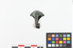 Foto von Bronzekahnfibel (NHMW-PRAE-023706)
